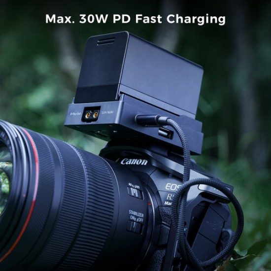 Accsoon TOPRIG BP-A Battery Plate